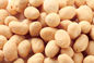 Cajun/cipolla ha ricoperto le arachidi arrostite di spuntino secco croccante e croccante cascer/halal/Brc/di Haccp certificazione