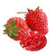 Spuntini altamente nutrizionali della frutta secca, fragole liofilizzate nessuno zucchero aggiunto