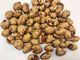 Salute di rinfresco di gusto dello spuntino dell'arachide ricoperta semi deliziosi diplomata