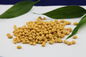 Il potere di sapore del gamberetto fa un spuntino il HACCP croccante del gusto dei noccioli del girasole certificato