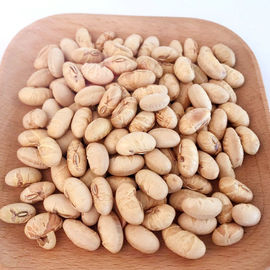 Kosher Halal Certificato Rivestito arrostito piccante giallo Edamame Soja Bean Snacks ISO approvato