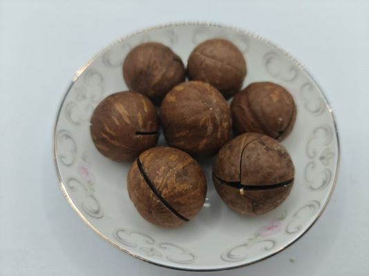 Noci di macadamia