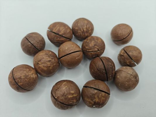 Noci di macadamia