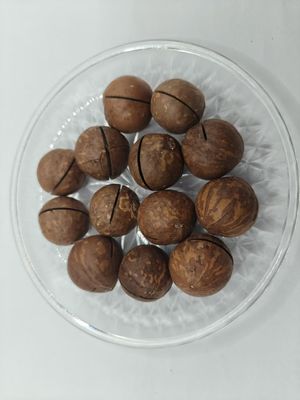Deliziose noci di macadamia naturali in sacchetto di plastica