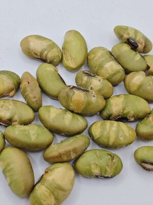 Snacks Soia Bean Nibbles Stile di cottura croccante Nutritivo a base vegetale ricco di proteine Ingrediente ideale per la produzione alimentare