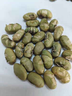 Data di scadenza 12 mesi Delizie di soia prodotte da semi di soia ideali per i produttori di alimenti che cercano approvvigionamento di ingredienti