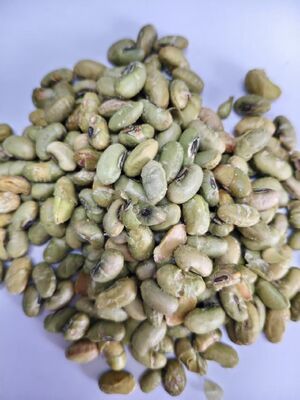 Data di scadenza 12 mesi Snack di soia Stile cotto Cottura croccante Opzioni di snack nutrienti Adatti all'acquisto all'ingrosso