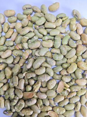 Data di scadenza 12 mesi Snack di soia Stile cotto Cottura croccante Opzioni di snack nutrienti Adatti all'acquisto all'ingrosso