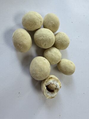 Snack di soia ricoperti di proteine con cinque sapori classici a base di soia gialla di alta qualità