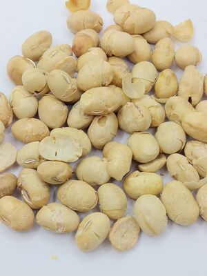 Fagioli di soia arrosto croccante, poco salati, ricchi di proteine, senza guscio