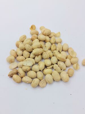 Fagioli di soia arrosto croccante, poco salati, ricchi di proteine, senza guscio