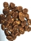Il sapore del cacao dell'OEM del vegano ha ricoperto Fried Broad Bean Chips Crispy