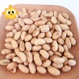 Kosher Halal Certificato Rivestito arrostito piccante giallo Edamame Soja Bean Snacks ISO approvato