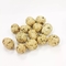 L'alga cascer/Halal/FAD/BRC certificata ha ricoperto le arachidi arrostite croccanti e gli spuntini croccanti del dado