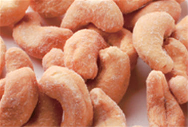 La struttura dura OMG NON rivestita salata degli anacardi conserva la nutrizione speciale