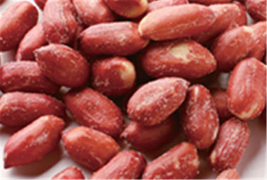 Gusto Certifiaction HALAL del grande di Candy della birra vario nocciolo rivestito rosso matto delle arachidi
