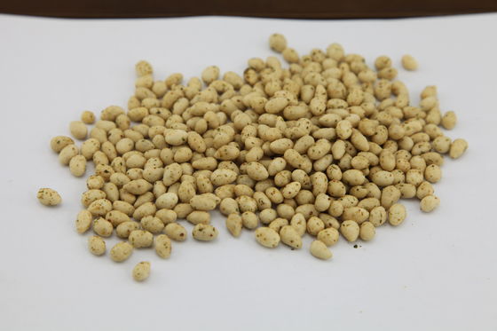 Semi di girasole certificati cascer spuntino, sapore delizioso arrostito dei noccioli del girasole