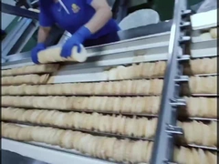 linea di produzione di biscotti di riso dolce neve